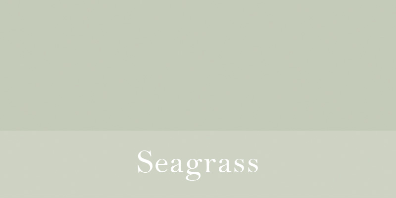 Seagrass.jpg