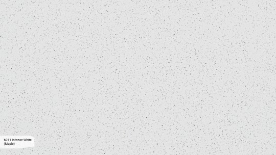 6011 Intense White (Maple).jpg