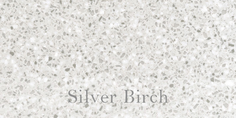 Silver_Birch.jpg